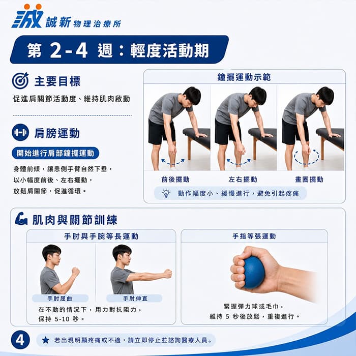 輕度活動期(2&ndash;4 週)：復健目標、肩膀運動、肌肉與關節訓練