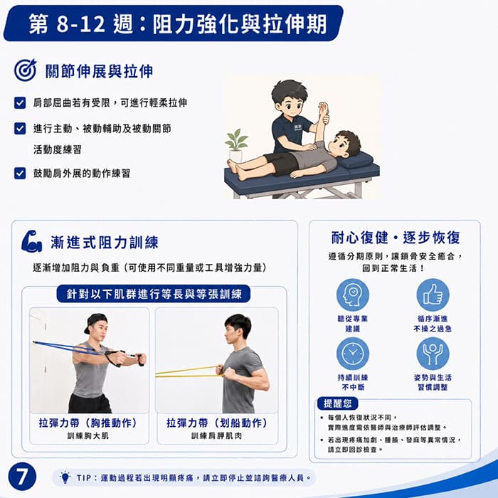 肌力強化期(8&ndash;12 週)：關節伸展與拉伸、漸進式阻力訓練